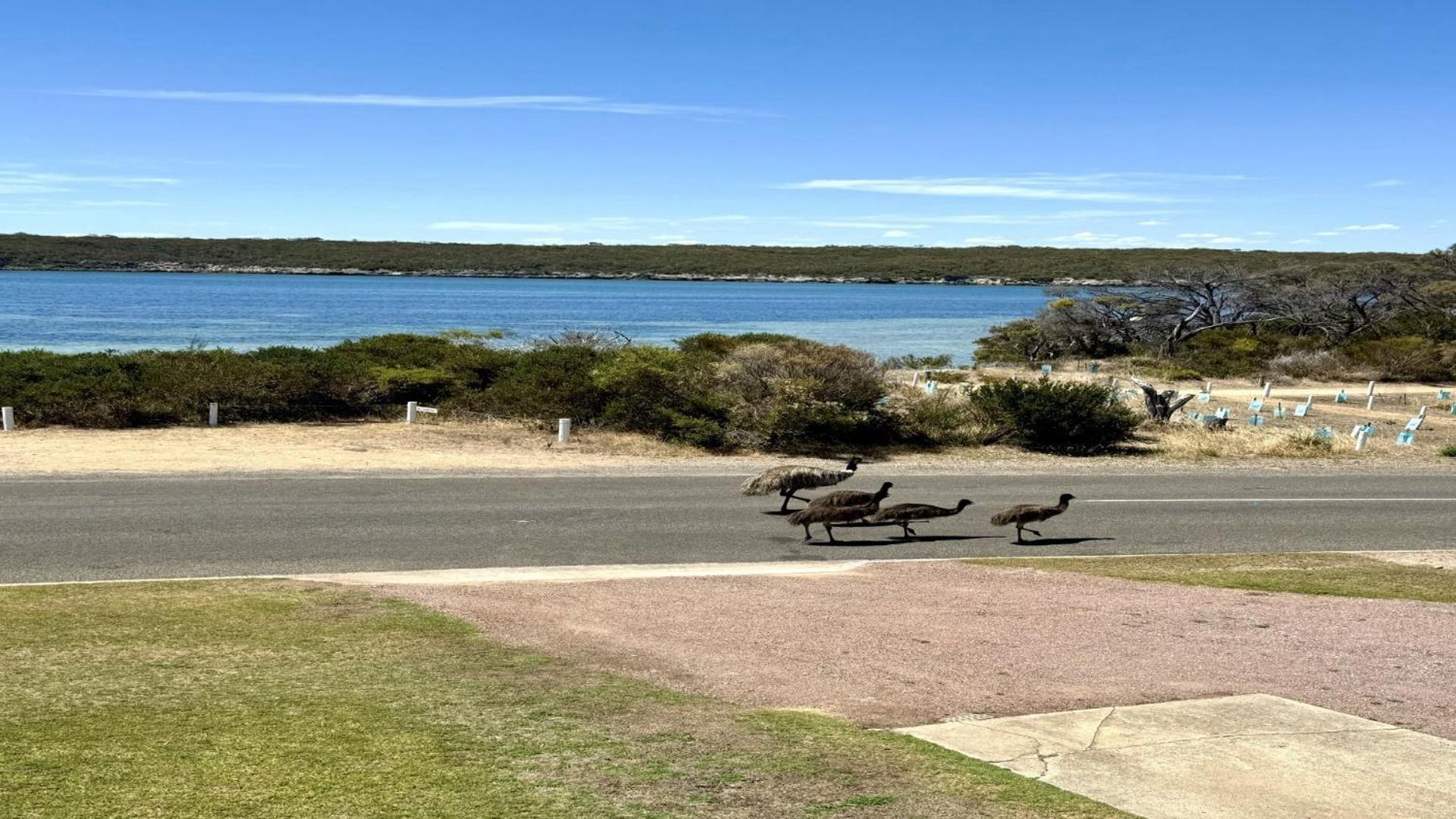 White Springs, Our Peaceful Holiday House In Coffin Bay Bagian luar foto